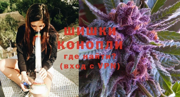 Альфа ПВП Ростов