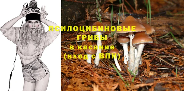 дживик Россошь