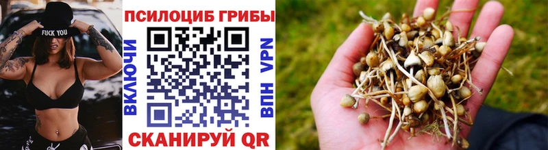 кракен   Альметьевск  Псилоцибиновые грибы MAGIC MUSHROOMS 