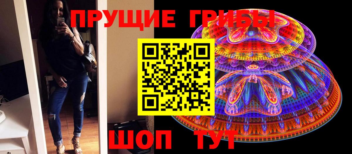 Альметьевск  Галлюциногенные грибы Cubensis  Вход с VPN 