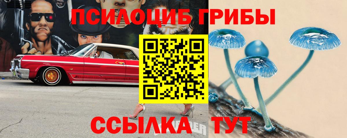 Псилоцибиновые грибы мицелий Альметьевск